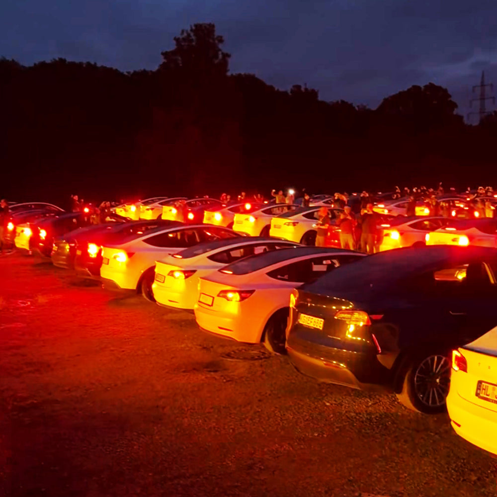 Véhicules Tesla pendant un spectacle lumineux au crépuscule